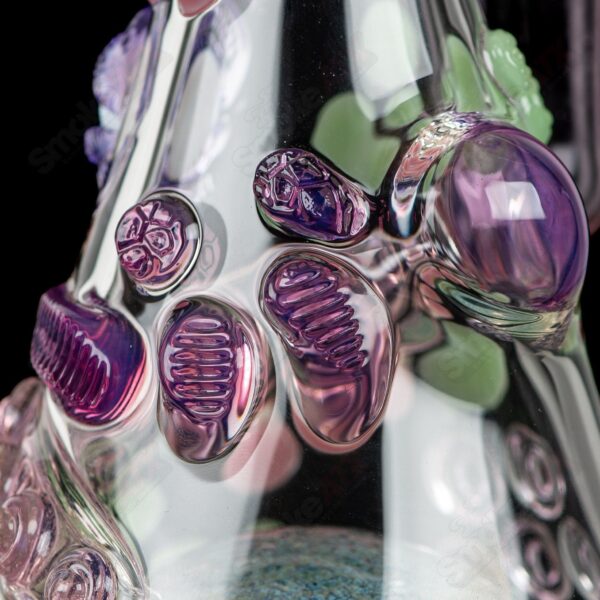 Shop CFL Rip Curl by Helix & SALT Glass in australian