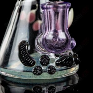 Shop RipCurl by Helix & SALT Glass in australian