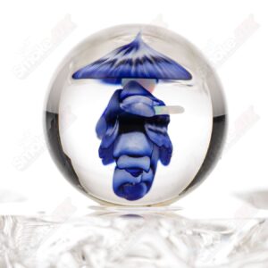 Shop Kobuki Glass Samurai Slurper Set Blue in australian