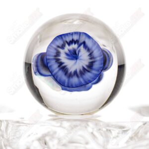 Shop Kobuki Glass Samurai Slurper Set Blue in australian