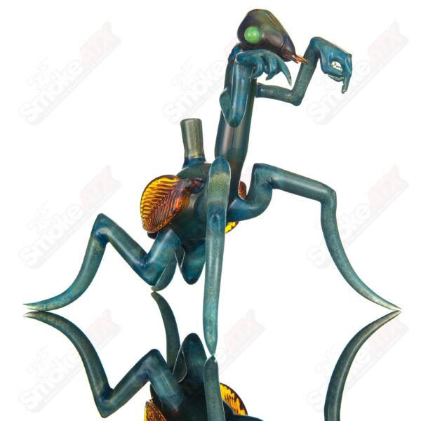 Shop Praying Mantis Rig Burtoni x SALT in australian