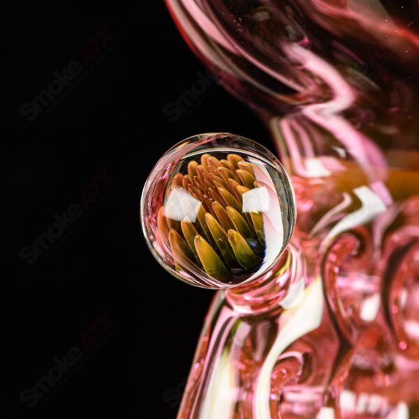 Shop Swiss Perc 1 of 1 Gold Fume Full-size Side feeder Nate Dizzle Solo in australian