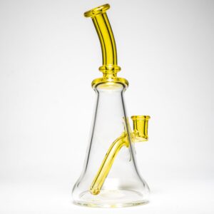 Shop Aaron Vigil - Fat Bottom - CFL Terps Accents in australian