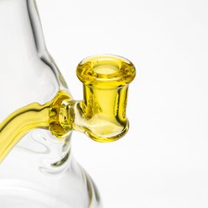 Shop Aaron Vigil - Fat Bottom - CFL Terps Accents in australian
