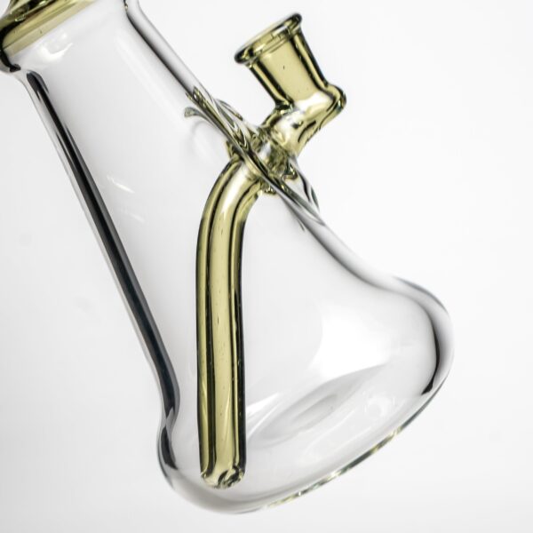 Shop Aaron Vigil - Fat Bottom - CFL Potion Accents in australian