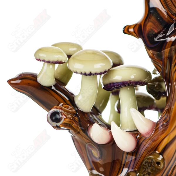 Shop UV Salty Tree Stump RipCurl By Stoney Chicken & SALT in australian