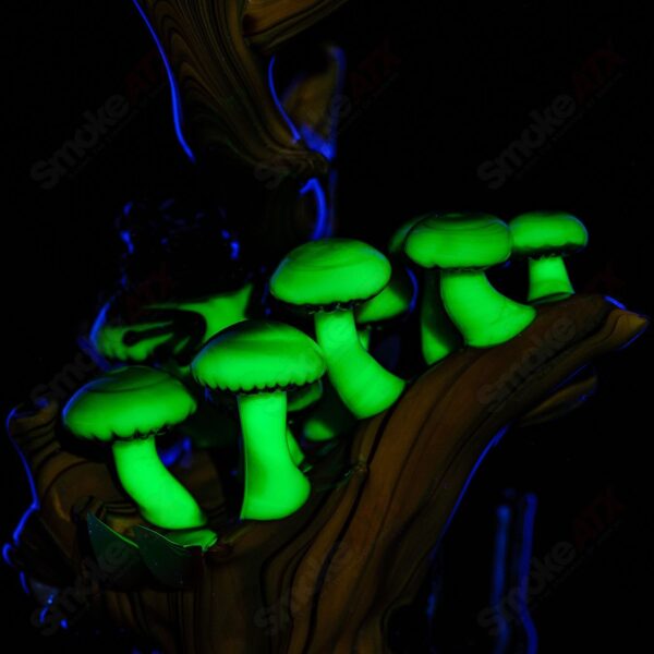Shop UV Salty Tree Stump RipCurl By Stoney Chicken & SALT in australian