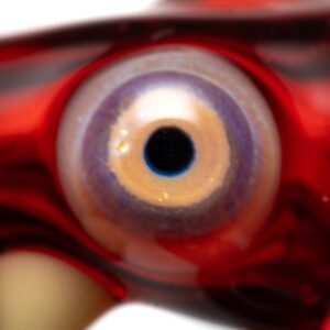 Shop Niko Cray - Nano Snake - Pomegranate in australian