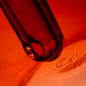 Shop Niko Cray - Nano Snake - Pomegranate in australian