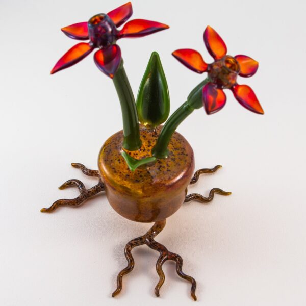 Shop Phil Siegel - Flower Pot Concentrate Bubbler in australian