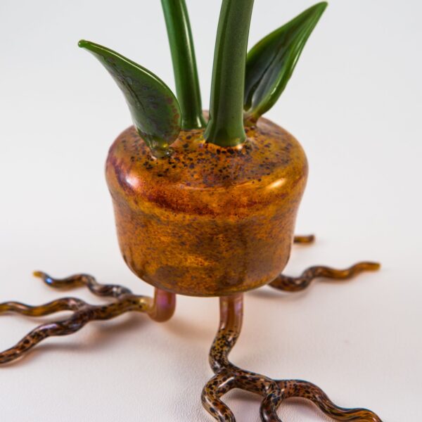 Shop Phil Siegel - Flower Pot Concentrate Bubbler in australian