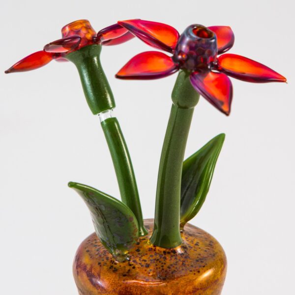 Shop Phil Siegel - Flower Pot Concentrate Bubbler in australian