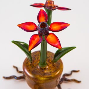 Shop Phil Siegel - Flower Pot Concentrate Bubbler in australian