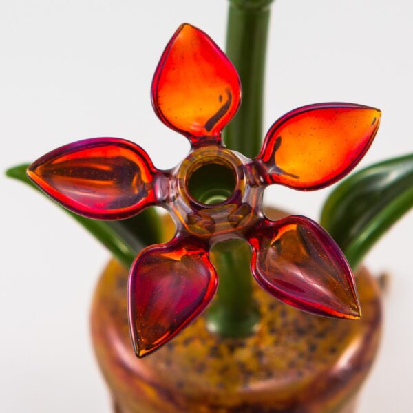 Shop Phil Siegel - Flower Pot Concentrate Bubbler in australian