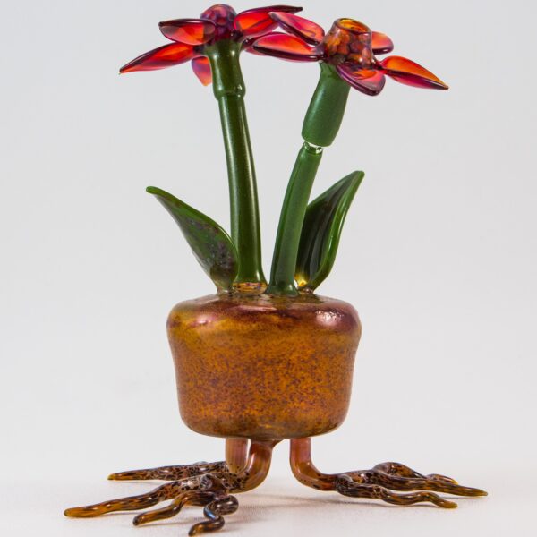 Shop Phil Siegel - Flower Pot Concentrate Bubbler in australian