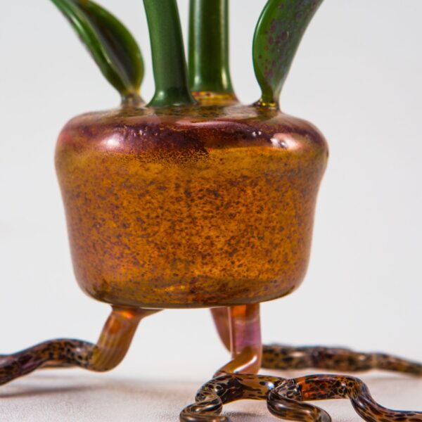 Shop Phil Siegel - Flower Pot Concentrate Bubbler in australian