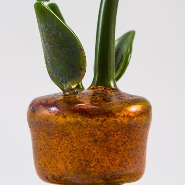 Shop Phil Siegel - Flower Pot Concentrate Bubbler in australian