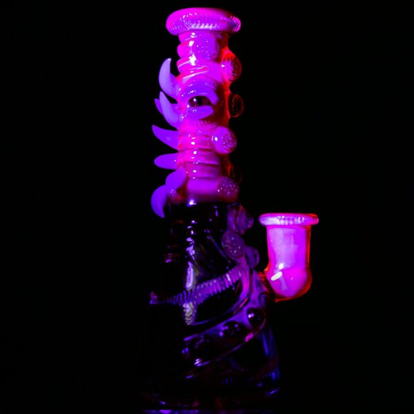 Shop Salt - Saltacc RipCurl #15 - UV Nova & Telemagenta in australian
