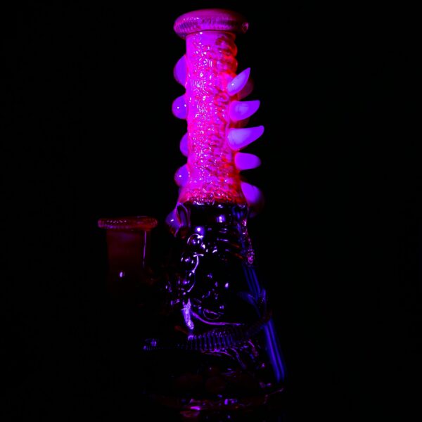 Shop Salt - Saltacc RipCurl #15 - UV Nova & Telemagenta in australian