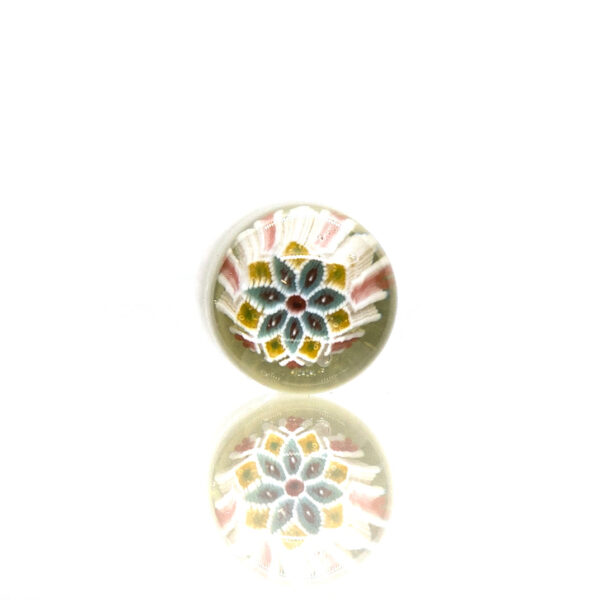 Shop Steve H - Pillard - Flower Mandala - CFL Potion in australian