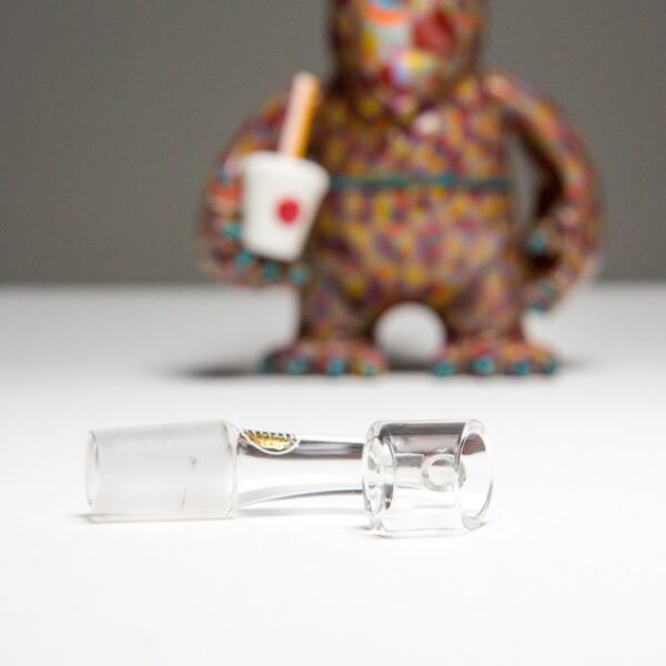 Shop Coyle X Disk - Bear Holding Cup in australian