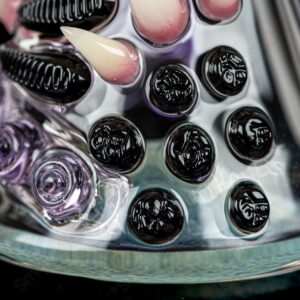 Shop RipCurl by Helix & SALT Glass in australian