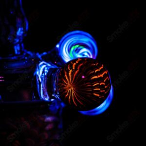 Shop Coiled Latticello Milli Rig Conversion Glass x Boehme #1 in australian