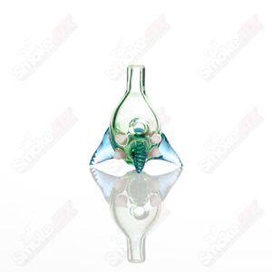 Shop Bubble Cap (Plantphibian/Marina/Skyline) SALT in australian