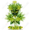 Shop Lace Face Ganja Goddess Recycler in australian