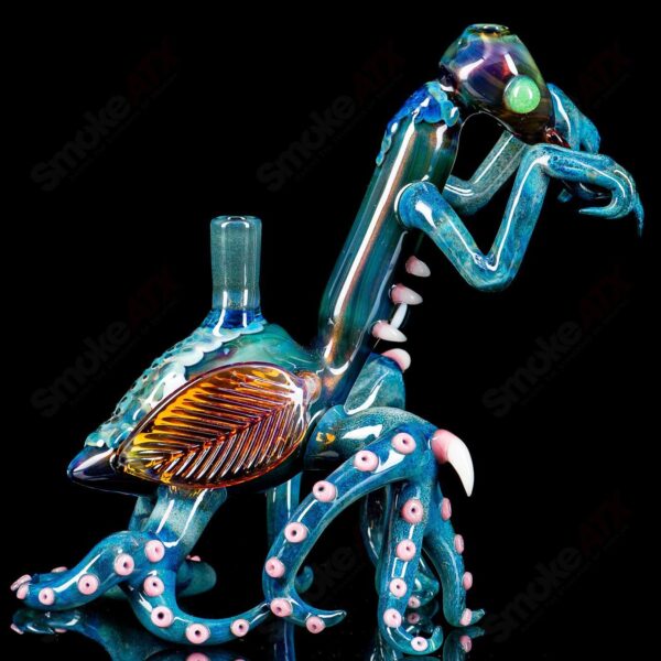 Shop Praying Mantis Rig Burtoni x SALT in australian