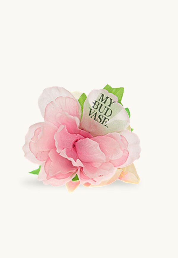 Shop My Bud Vase Flower Bowl Poker in australian