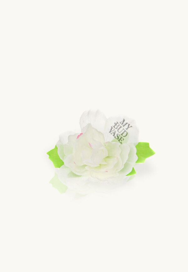 Shop My Bud Vase Flower Bowl Poker in australian