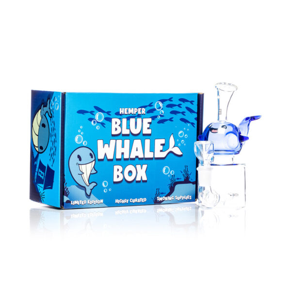 Shop HEMPER - Blue Whale Bong 6.5" in australian