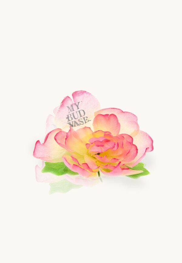 Shop My Bud Vase Flower Bowl Poker in australian
