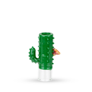 Shop Stundenglass Hose Tip Cactus in australian