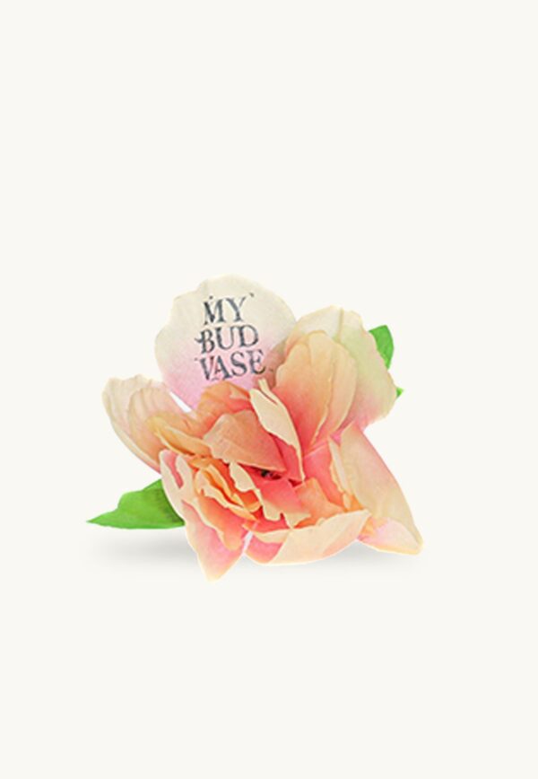 Shop My Bud Vase Flower Bowl Poker in australian