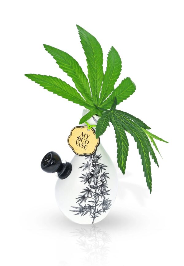 Shop Love Bud Vase Bong in australian