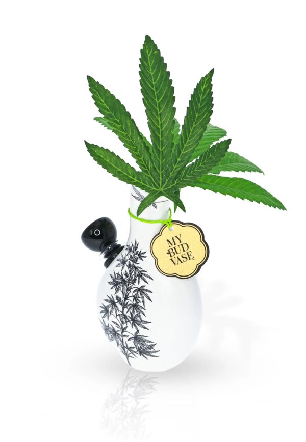 Shop Love Bud Vase Bong in australian