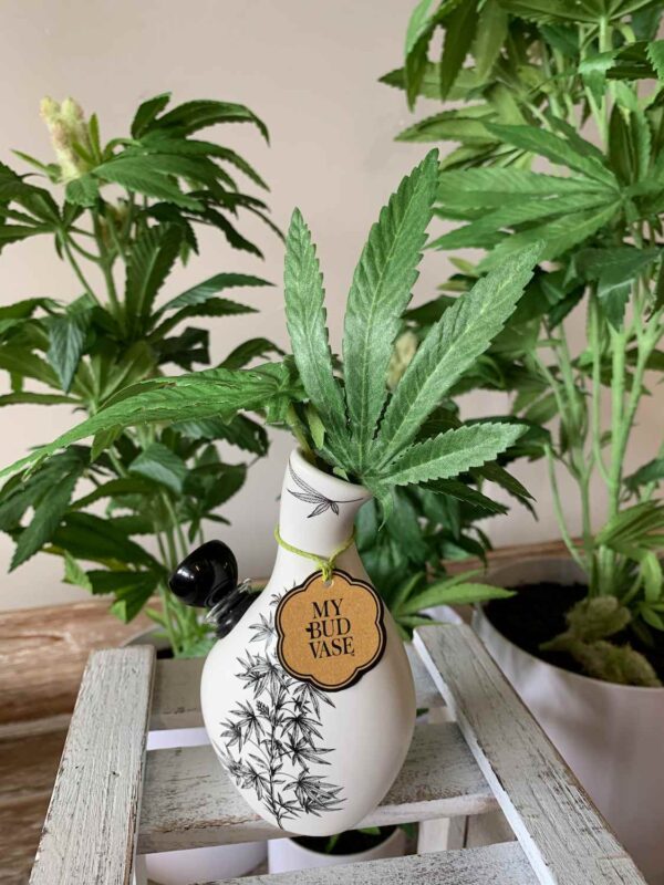 Shop Love Bud Vase Bong in australian