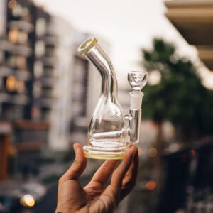 Shop HEMPER - Whistler Bong 6.5" in australian